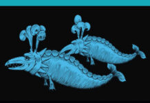 Physiology of Marine Mammals Adaptations to the Ocean