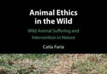 Animal Ethics in the Wild: Wild Animal Suffering and Intervention in Nature
