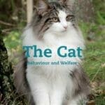 The Cat: Behaviour and Welfare