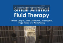 Small Animal Fluid Therapy