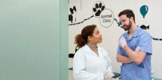10 Things to Keep in Mind When Building a Vet Clinic