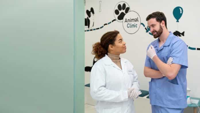 10 Things to Keep in Mind When Building a Vet Clinic