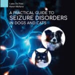 A Practical Guide to Seizure Disorders in Dogs and Cats