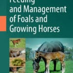 Feeding and Management of Foals and Growing Horses