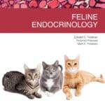 Feline Endocrinology By Edward C. Feldman