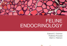 Feline Endocrinology By Edward C. Feldman