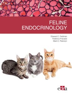 Feline Endocrinology By Edward C. Feldman
