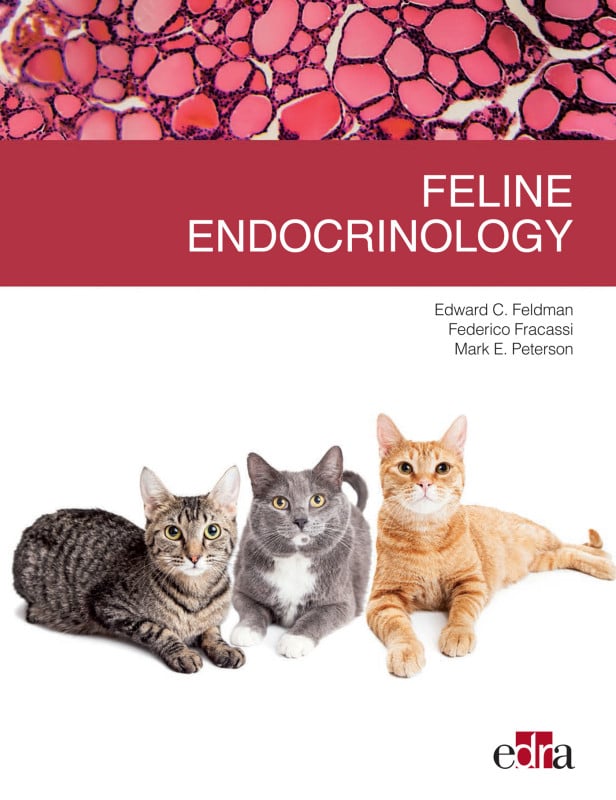 Feline Endocrinology Pdf Download