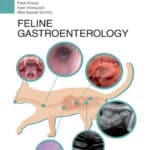Feline Gastroenterology