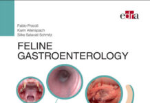 Feline Gastroenterology