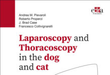 Laparoscopy and Thoracoscopy in the Dog and Cat