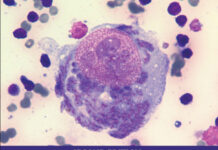 Small Animal Cytologic Diagnosis: Canine and Feline Disease, 2nd Edition