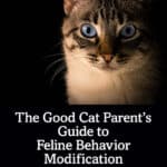 The Good Cat Parents Guide to Feline Behavior Modification PDF