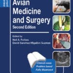 Avian Medicine and Surgery: Self-Assessment Color Review, 2nd Edition PDF Download