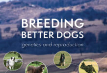 Breeding Better Dogs Genetics and Reproduction PDF Download