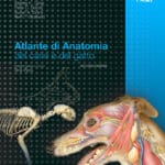 Atlante di anatomia del cane e del gatto
