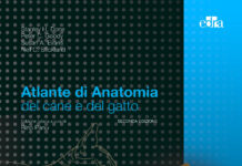 Atlante di anatomia del cane e del gatto