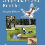 Ecotoxicology of Amphibians and Reptiles 2nd Edition PDF
