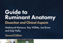 Guide to Ruminant Anatomy: Dissection and Clinical Aspects, 2nd Edition PDF Download