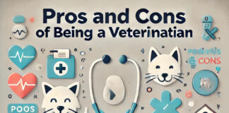 Pros And Cons of Being A Veterinarian