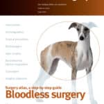 Small Animal Surgery, Bloodless Surgery