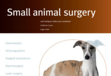 Small Animal Surgery, Bloodless Surgery