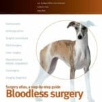 Small Animal Surgery, Bloodless Surgery