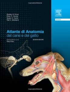 Atlante di anatomia del cane e del gatto