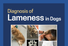 Diagnosis of Lameness in Dogs Diagnosis of Lameness in Dogs PDF