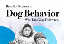 Breed Differences in Dog Behavior, Why Tails Wag Differently PDF Download