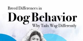 Breed Differences in Dog Behavior, Why Tails Wag Differently PDF Download