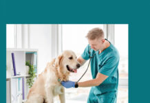 Get Diagnostic Tools In Veterinary Medicine Book