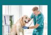 Diagnostic Tools In Veterinary Medicine