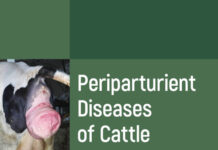 Periparturient Diseases of Cattle PDF Download