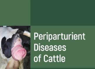 Periparturient Diseases Of Cattle Pdf Download