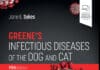 Greene'S Infectious Diseases Of The Dog And Cat 5Th Edition Pdf Download