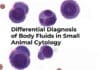 Differential Diagnosis Of Body Fluids In Small Animal Cytology Pdf Download