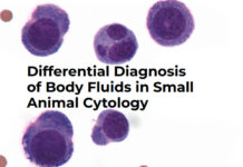 Differential Diagnosis Of Body Fluids In Small Animal Cytology PDF Download