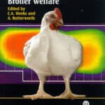 Measuring and auditing broiler welfare