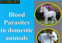 Blood Parasites in Domestic Animals