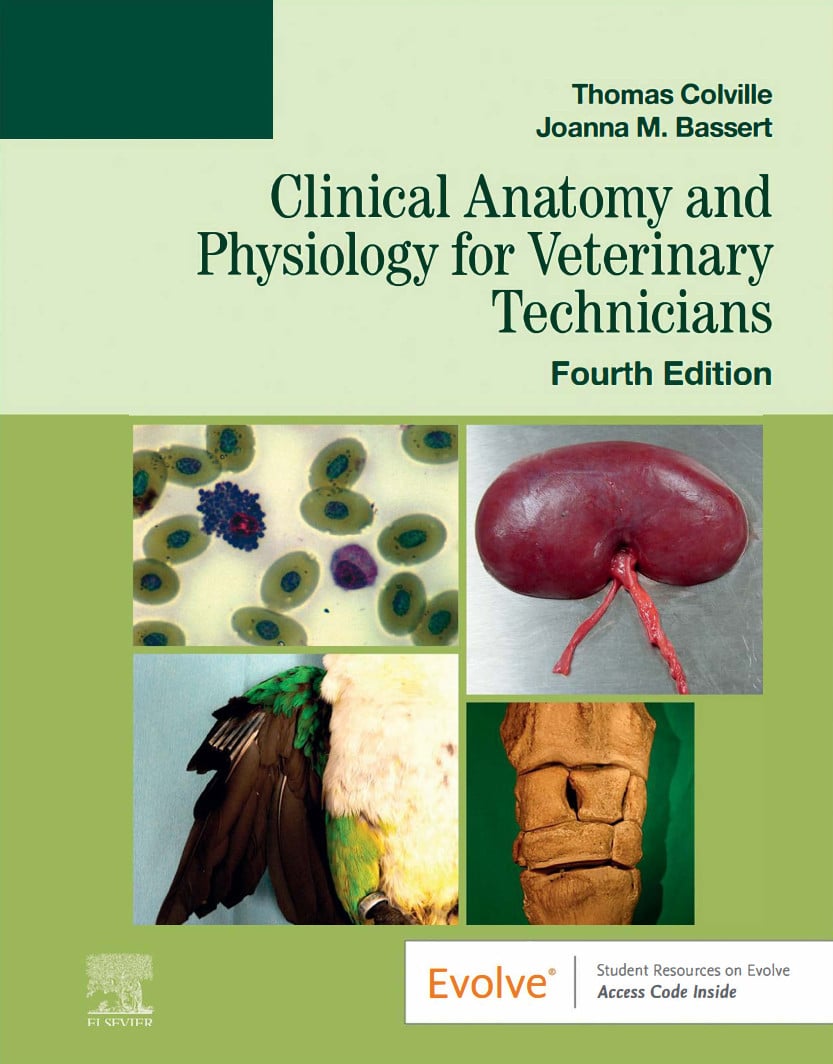 Clinical Anatomy And Physiology For Veterinary Technicians 4Th Edition Pdf Download