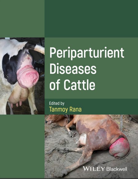 Periparturient Diseases Of Cattle
