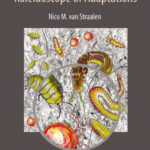 Soil Invertebrates Kaleidoscope of Adaptations