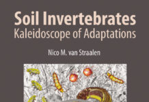 Soil Invertebrates Kaleidoscope of Adaptations