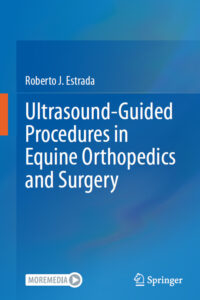 Ultrasound-Guided Procedures in Equine Orthopedics and Surgery