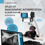 Atlas of Radiographic Interpretation in Small Animals, 2nd Edition PDF