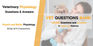 Muscle and Reflex Physiology MCQs Quiz: Veterinary Questions & Answers