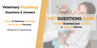 Nervous System Physiology MCQs: Veterinary Physiology Questions & Answers