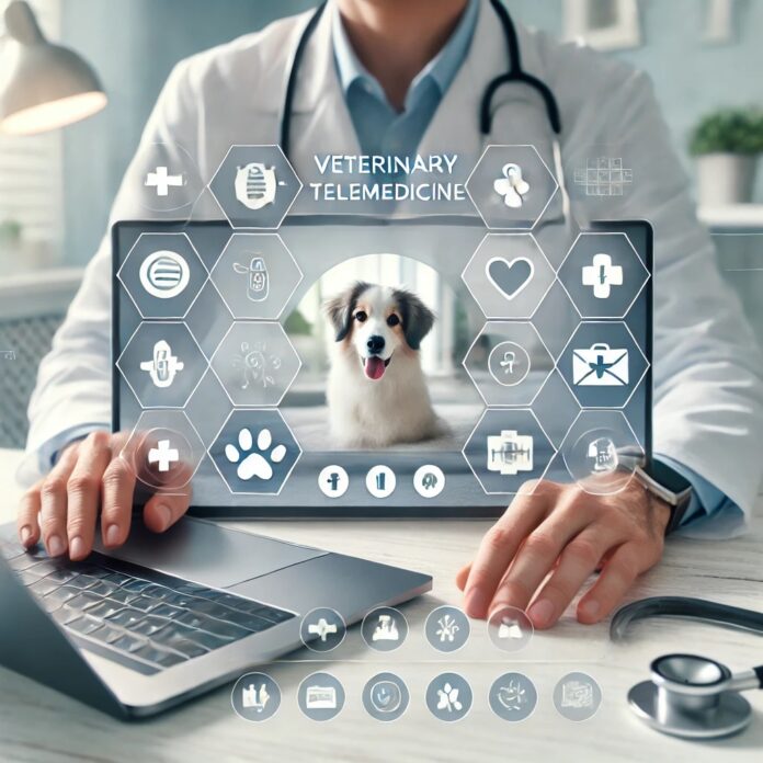 Veterinary Telemedicine Services: 7 Key Considerations Before Launching