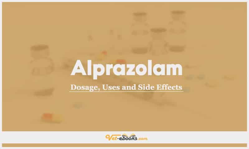 Alprazolam for Dogs, Cats, and Horses: Dosage, Uses, and Side Effects Guide